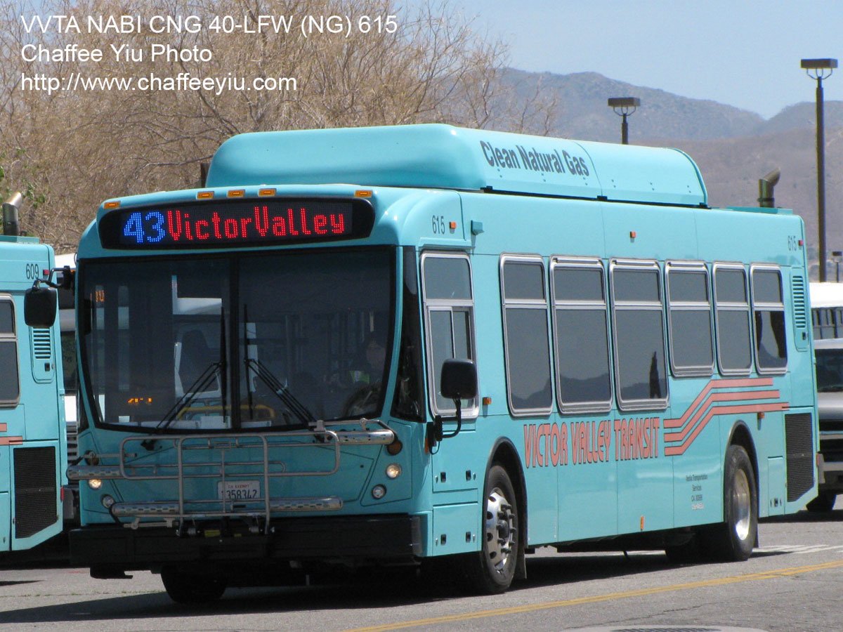 vvta61543.jpg