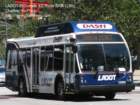 ladot12302_small.jpg