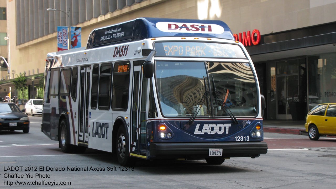 ladot12313.jpg