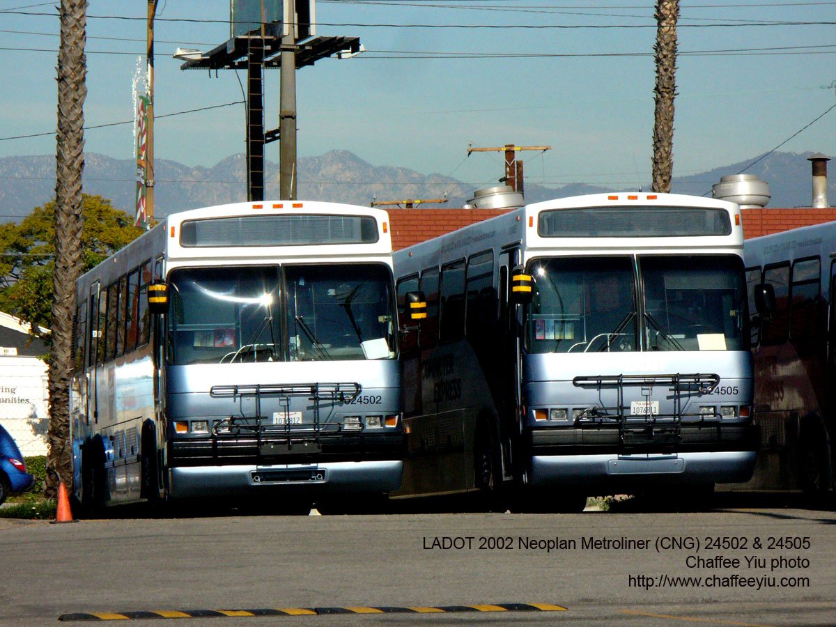 ladot2450524502.jpg