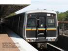 marta251_small.jpg