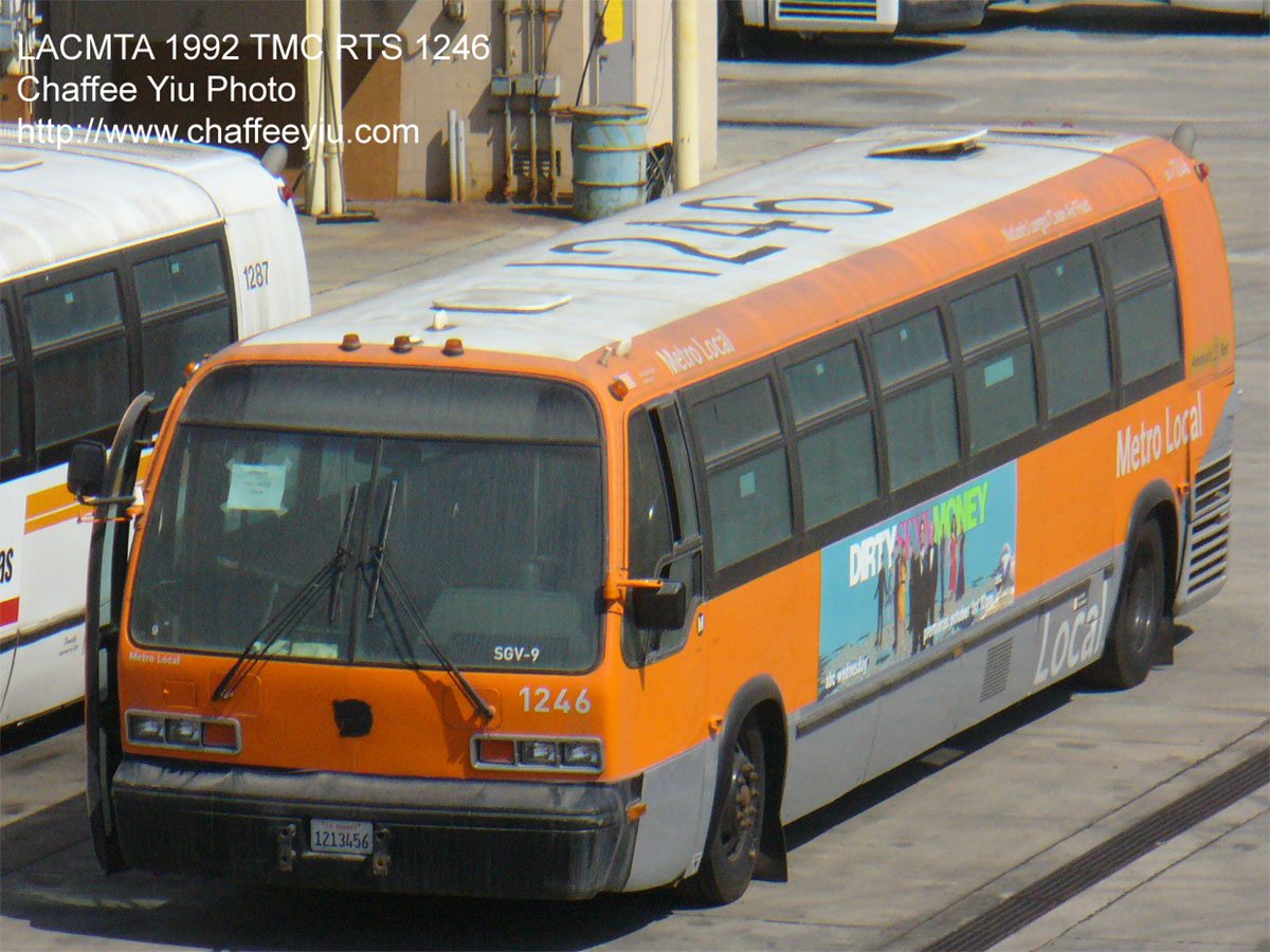 mta12461.jpg