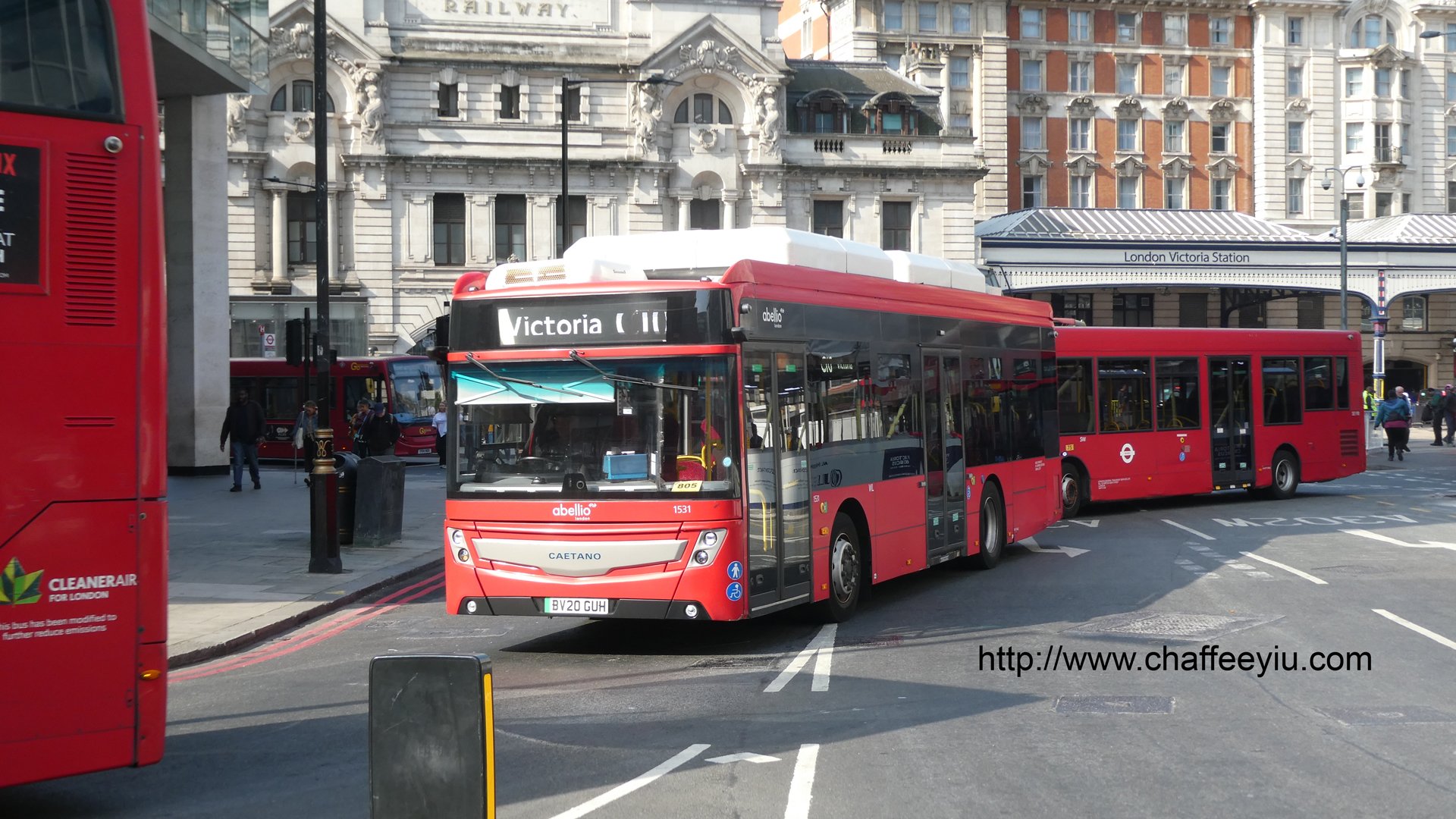 tfl1531.jpg