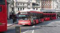 tfl1531_small.jpg