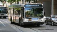 trimet3169_small.jpg