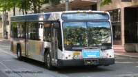 trimet3743_small.jpg