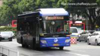 gzd62203_small.jpg