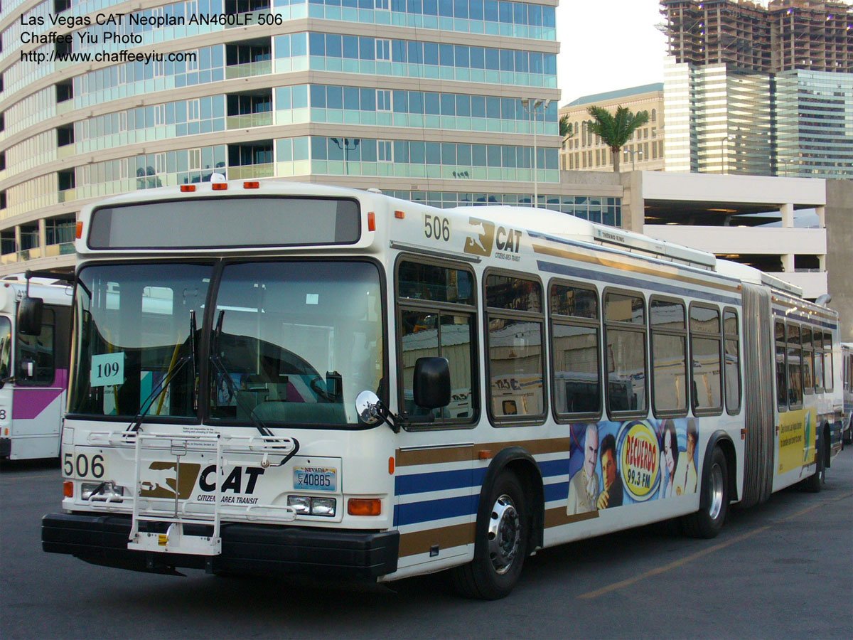 cat506109.jpg