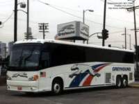 greyhound7068_small.jpg