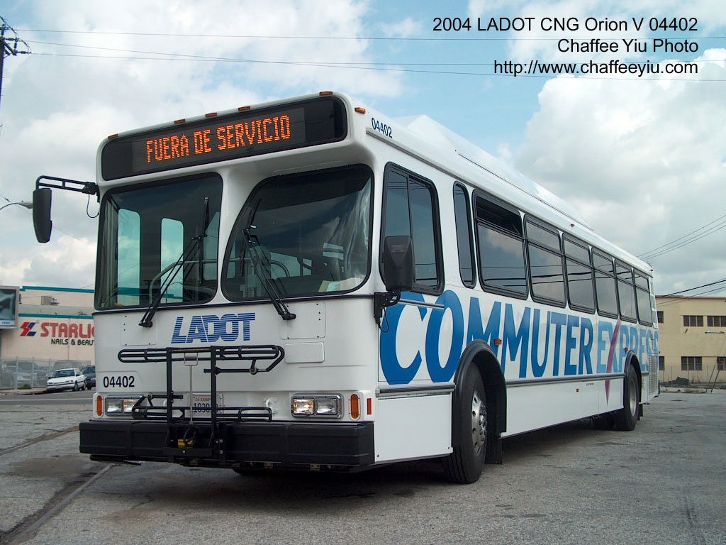 ladot04402.jpg