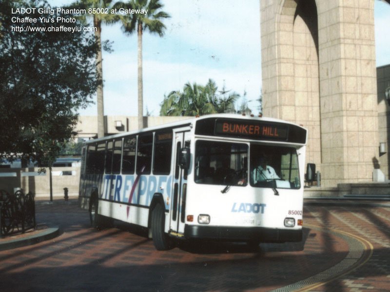 ladot85002.jpg