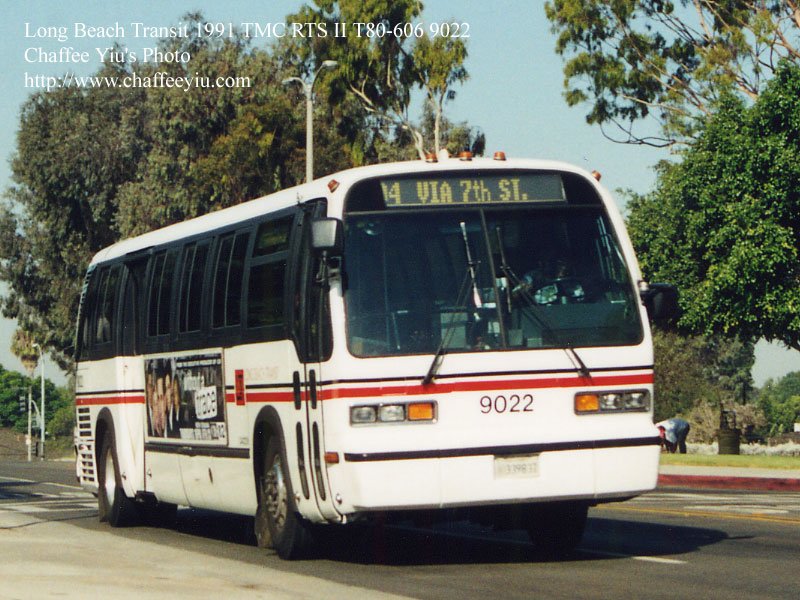 lbt902294.jpg