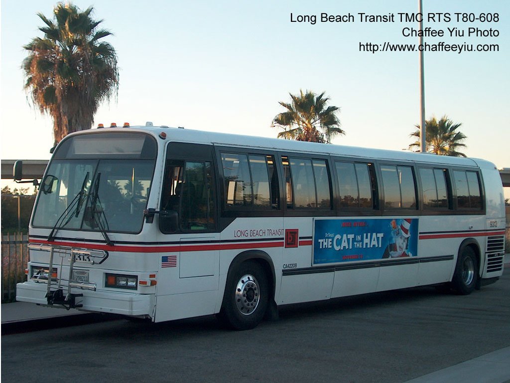 lbt9313.jpg