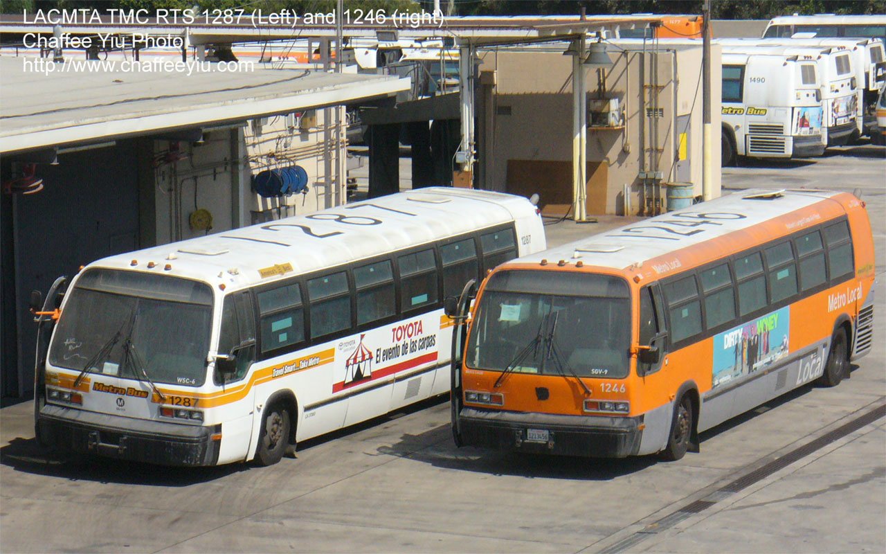 mta1246.jpg