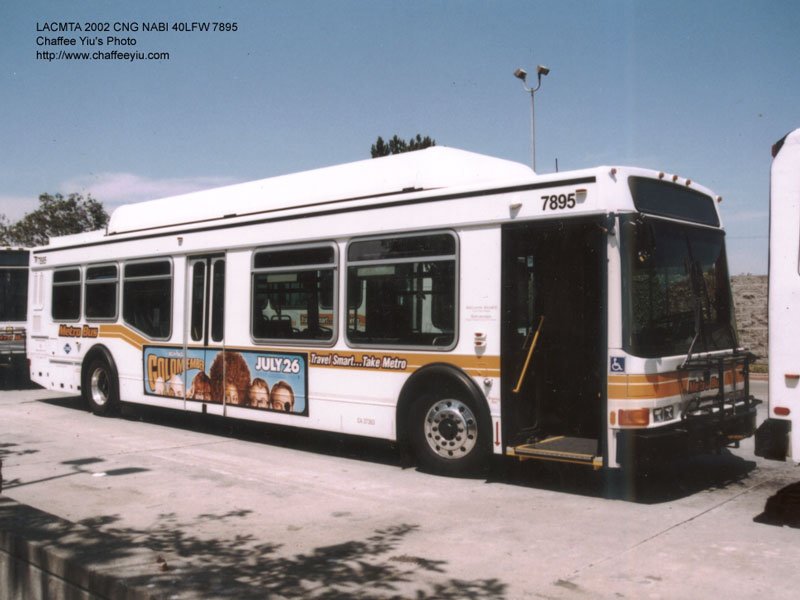 mta7895.jpg