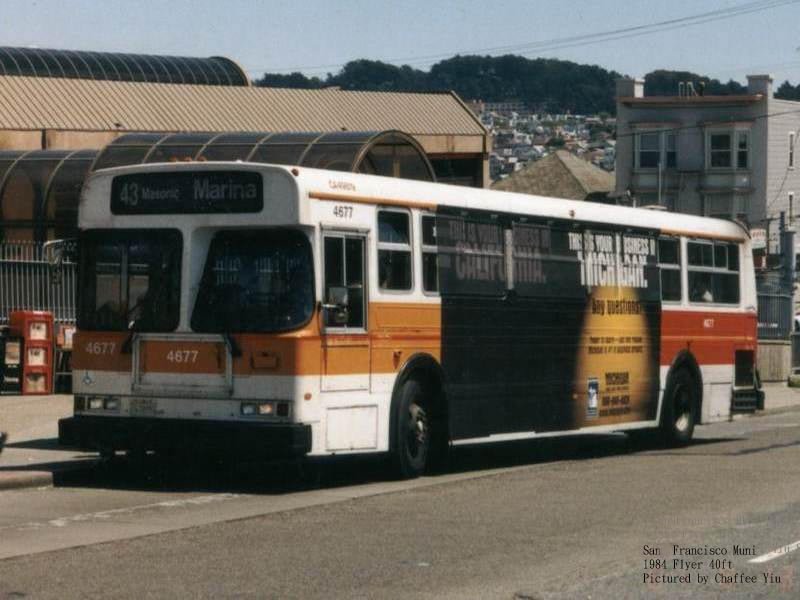 muni467743.jpg