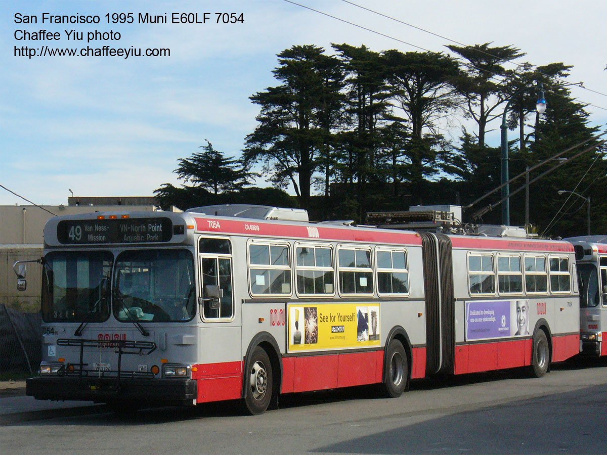 muni705449.jpg