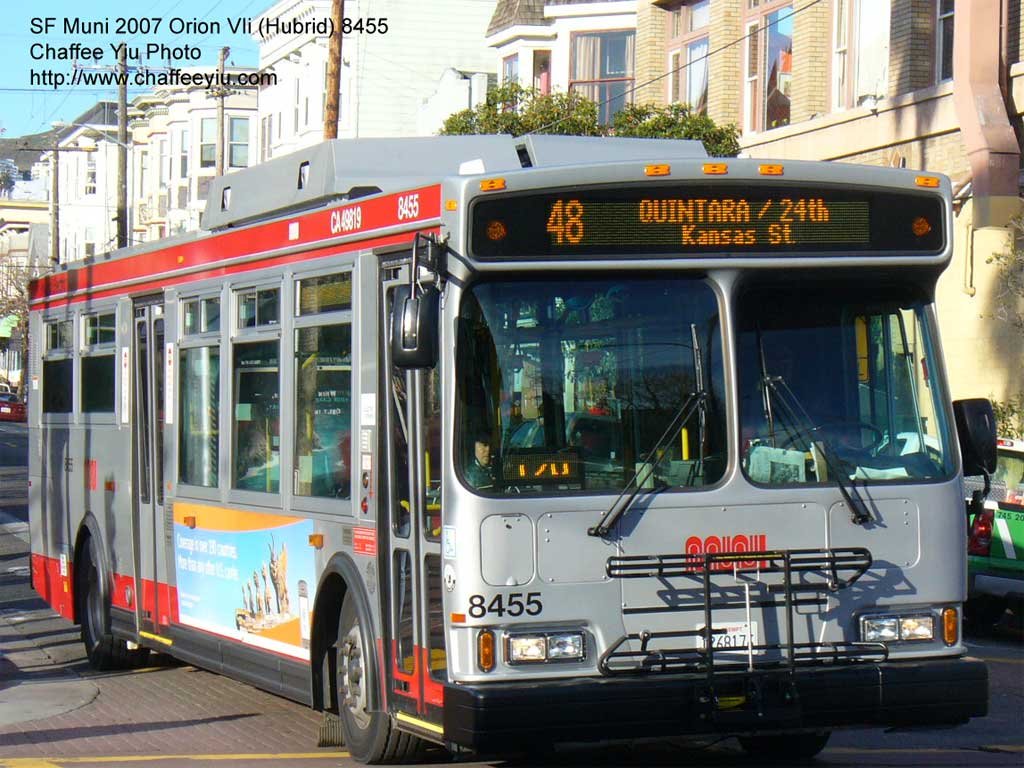 muni845548.jpg