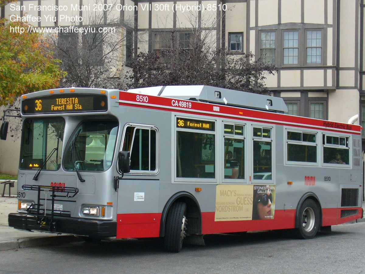 muni851036.jpg