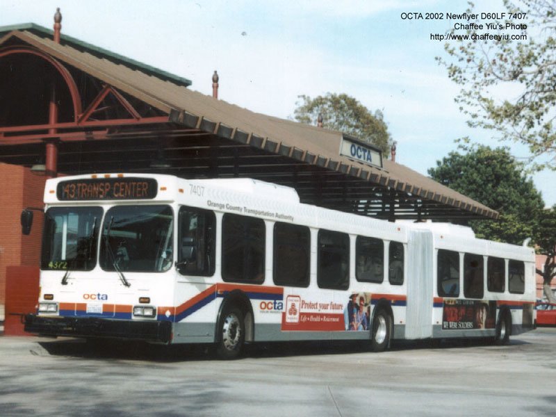 octa740743.jpg